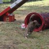 foire-haricots 2011-09-17et18